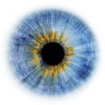 Фотография abajur